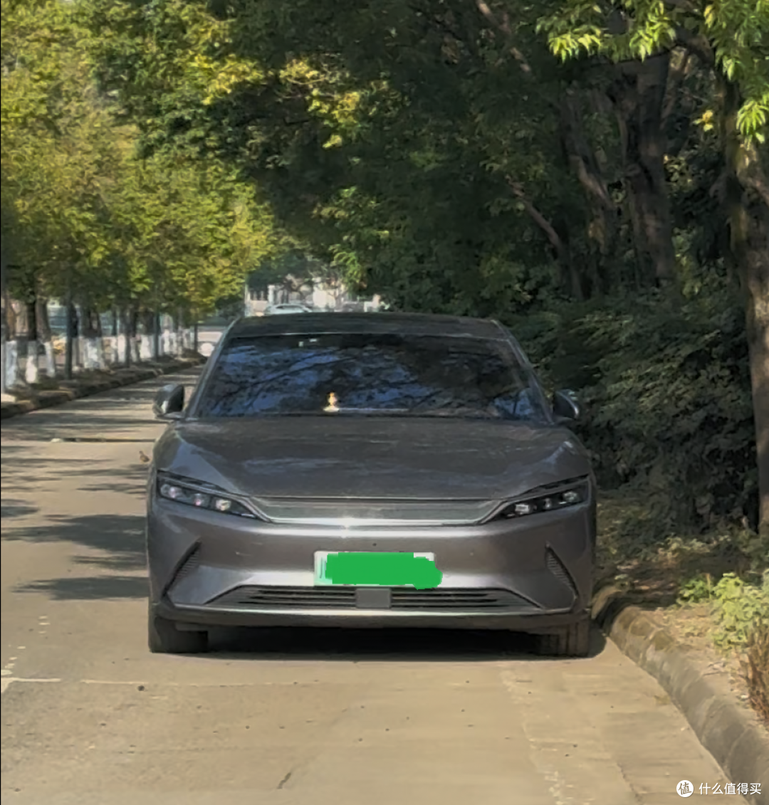 高校刮起“比亚迪风”：高知群体的选择，是技术与精神的双向奔赴