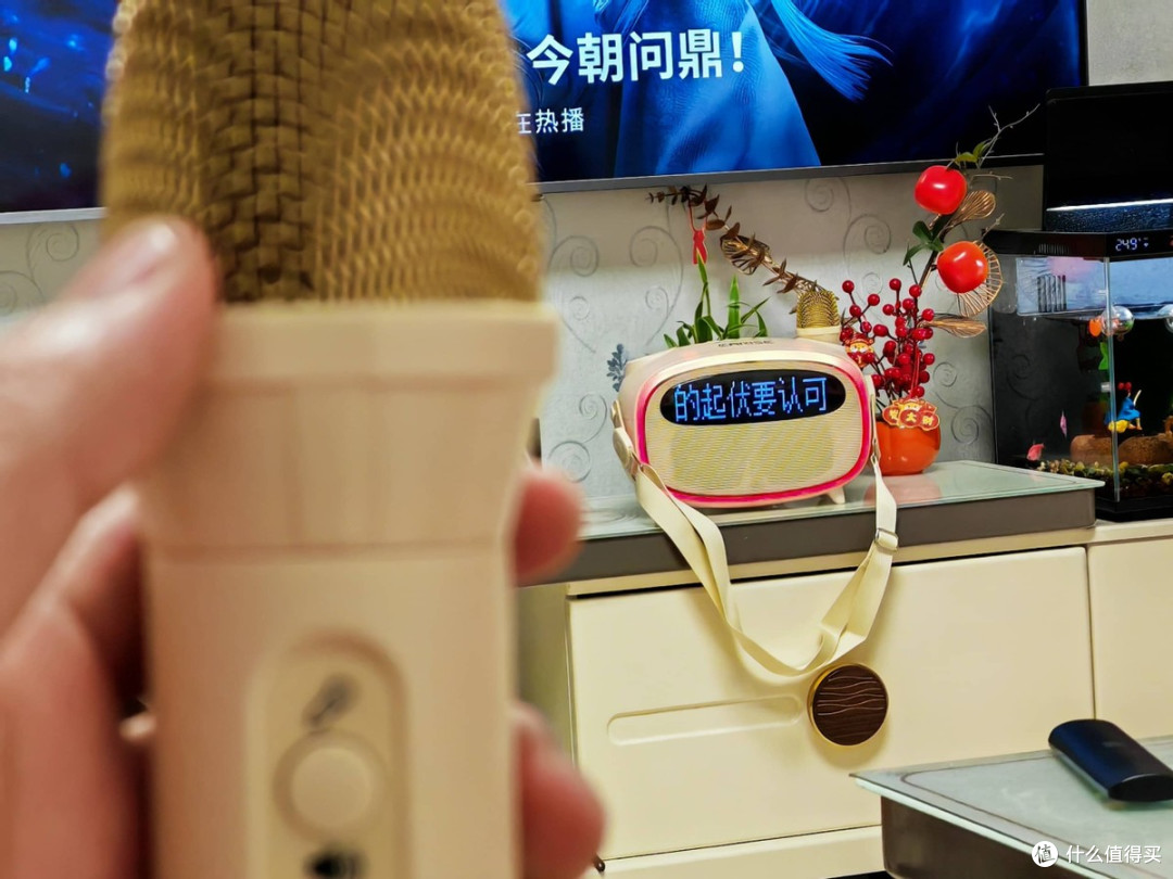 雅兰仕K31 K歌提词音箱深度测评:移动KTV如何重构户外K歌体验?