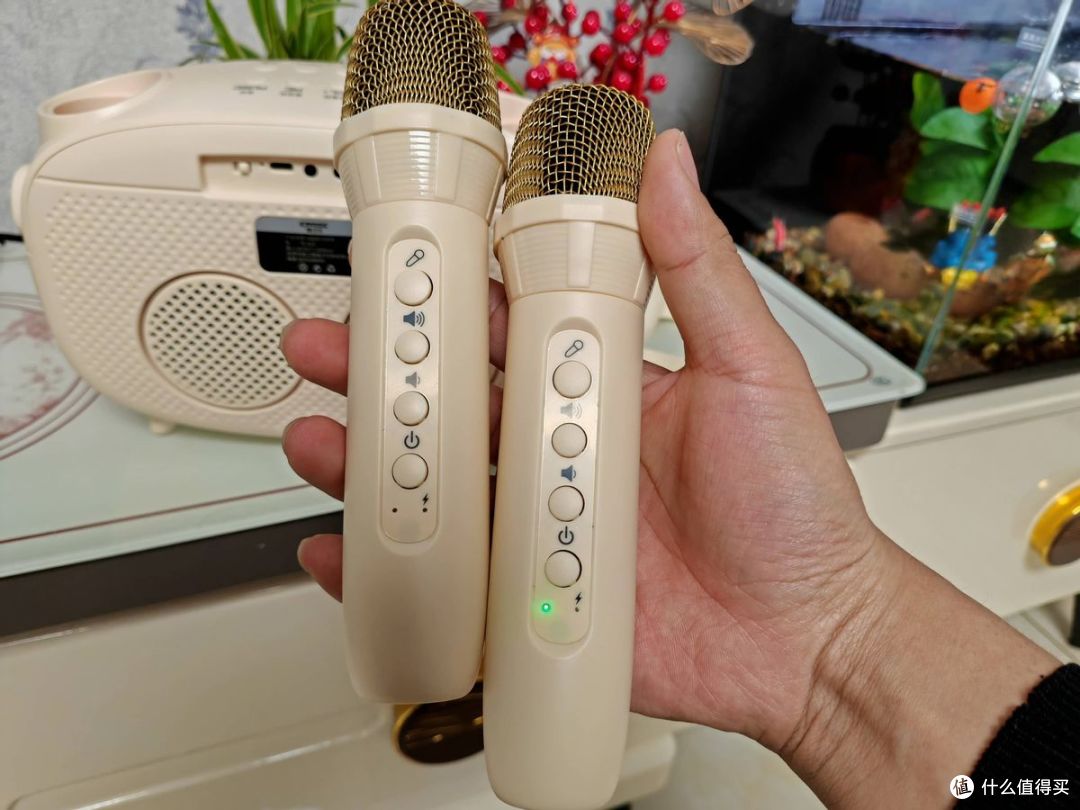 雅兰仕K31 K歌提词音箱深度测评:移动KTV如何重构户外K歌体验?