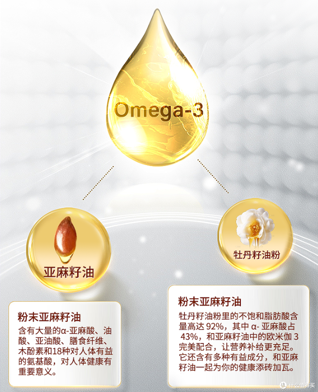 平价欧米伽3哪个牌子的好?2026Omega-3高性价比品牌排行榜大盘点