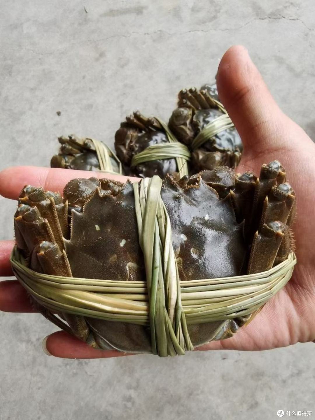 河北“宝藏”土特产大盘点,9种地道好食材,备年货直接抄作业