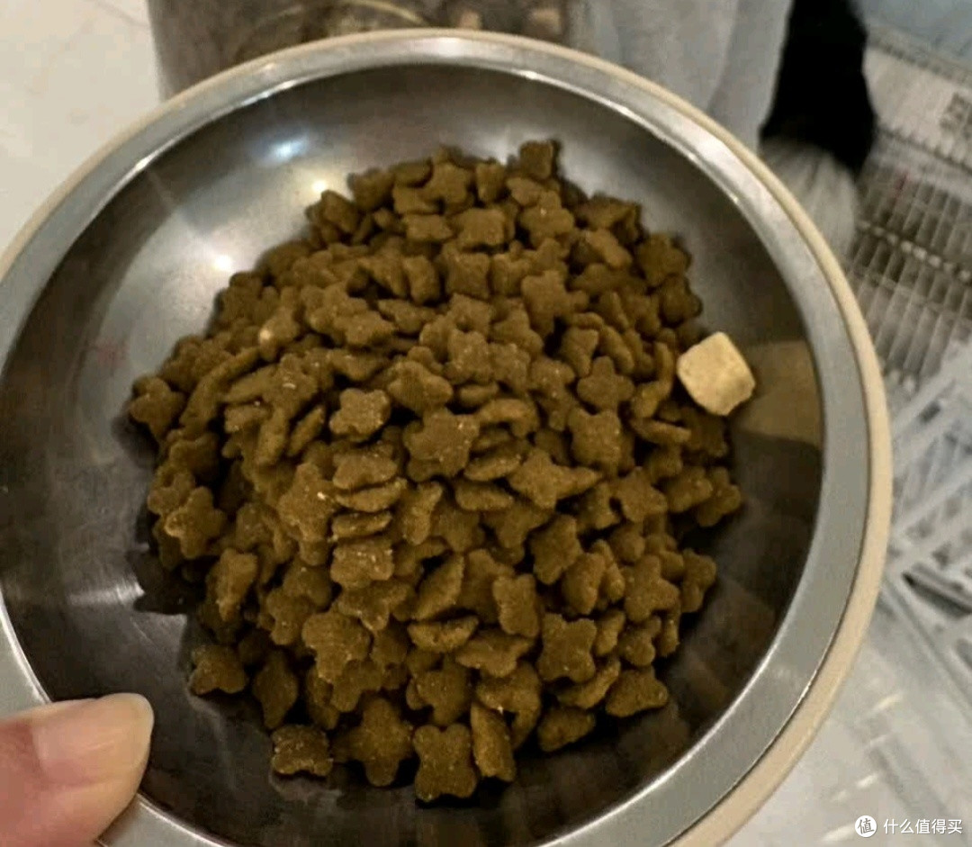 春节留守狗狗喂养指南（麦富迪超肉粒冻干狗粮适配版）