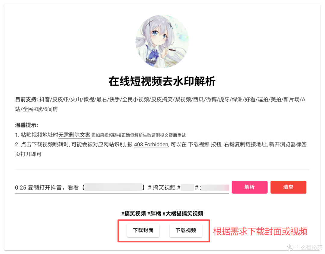 NAS 一键部署 20+ 平台短视频去水印工具!