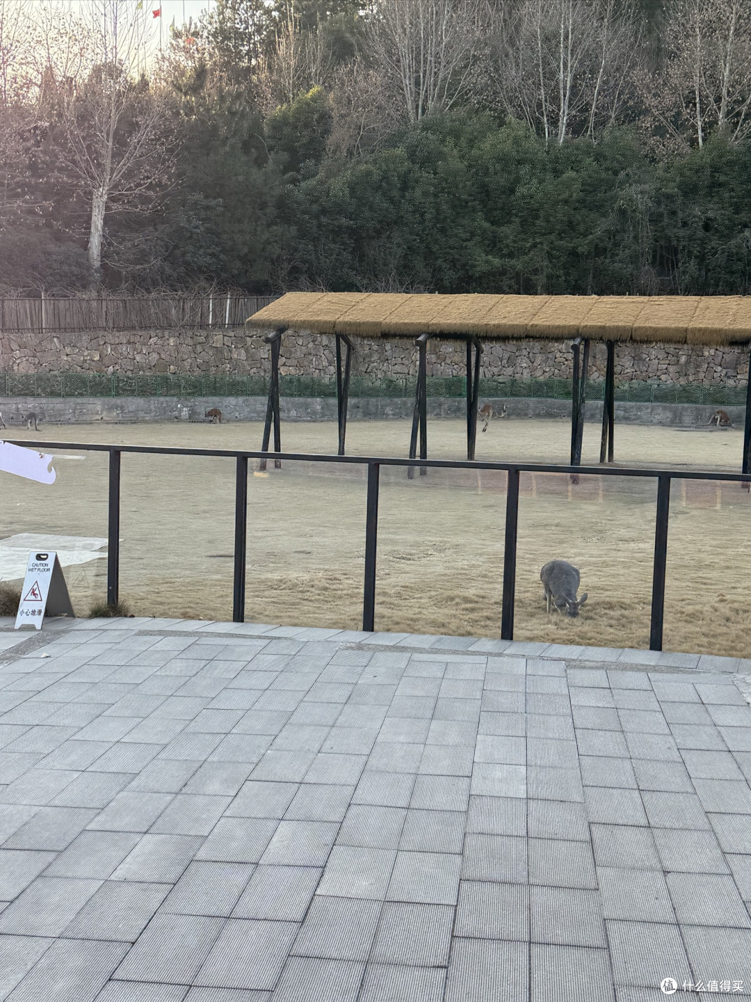 淡季首刷中南百草园东非酒店1