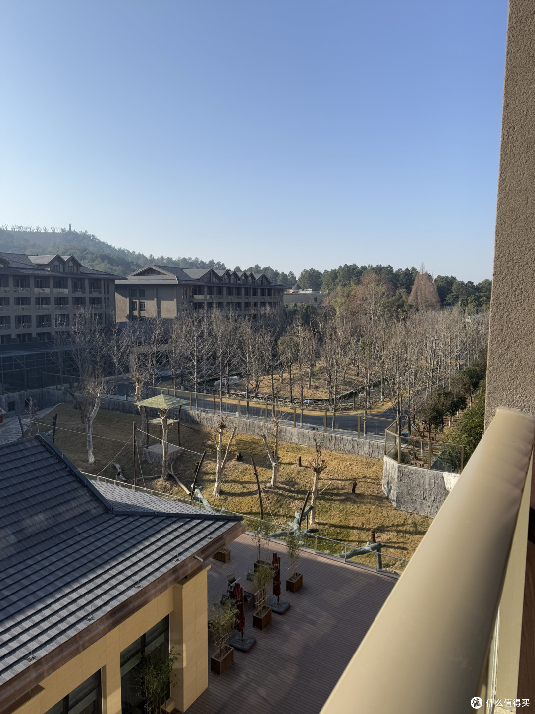首刷中南百草园东非草原酒店2