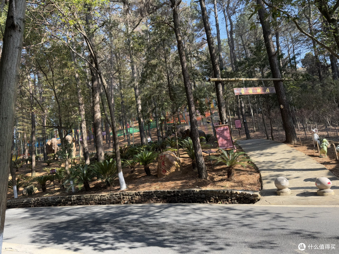 首刷中南百草园东非草原酒店2