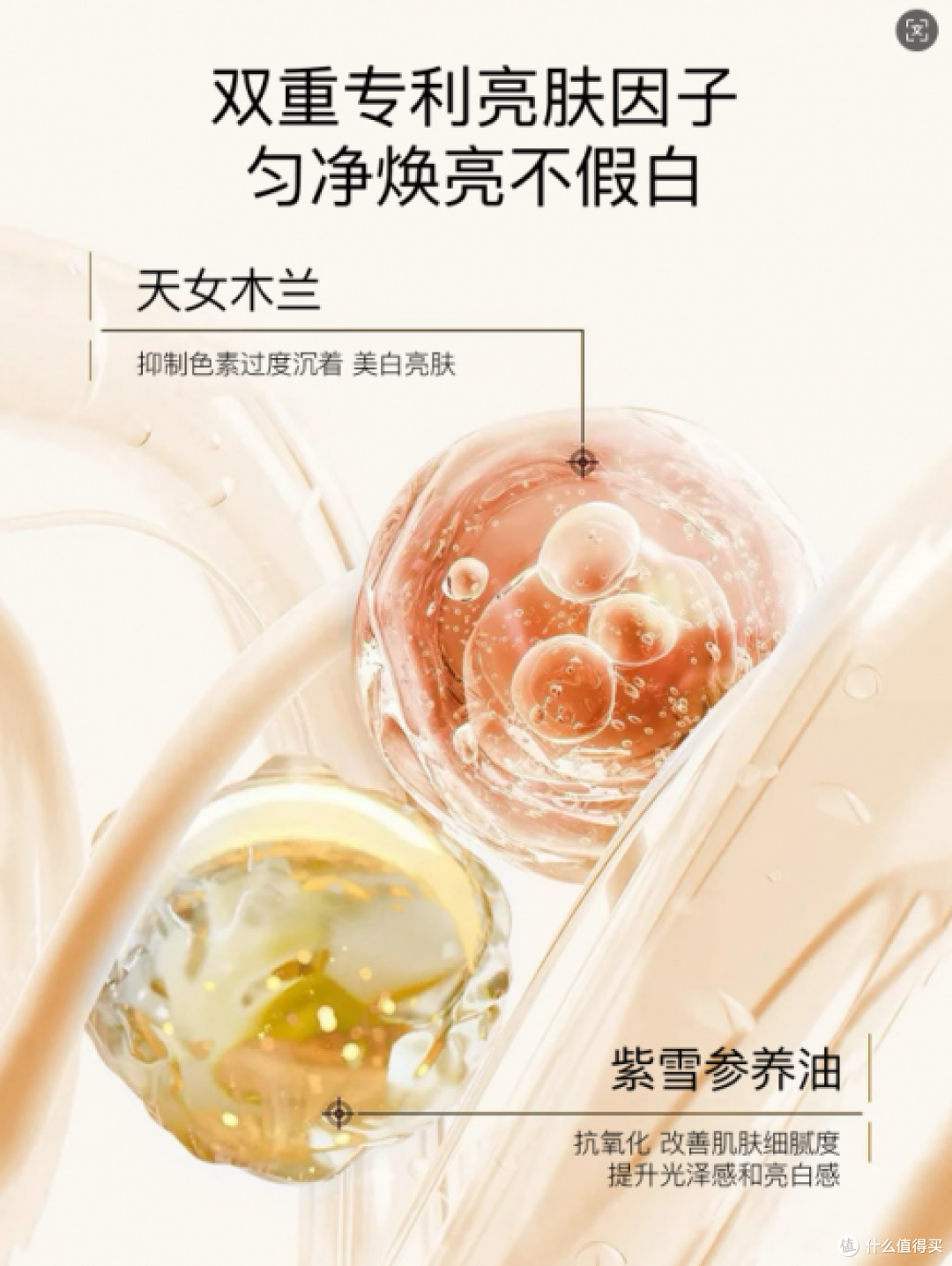 素颜霜哪个牌子最好用?2026效果出众十大品牌,性价比超高
