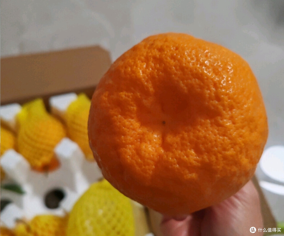 四川春见耙耙柑:鲜甜滋味