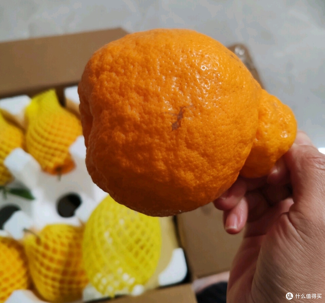 四川春见耙耙柑:鲜甜滋味