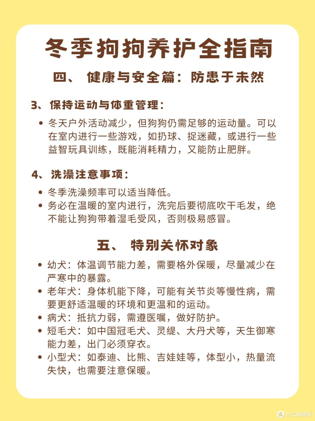 新年宠物饮食指南:守护毛孩子健康