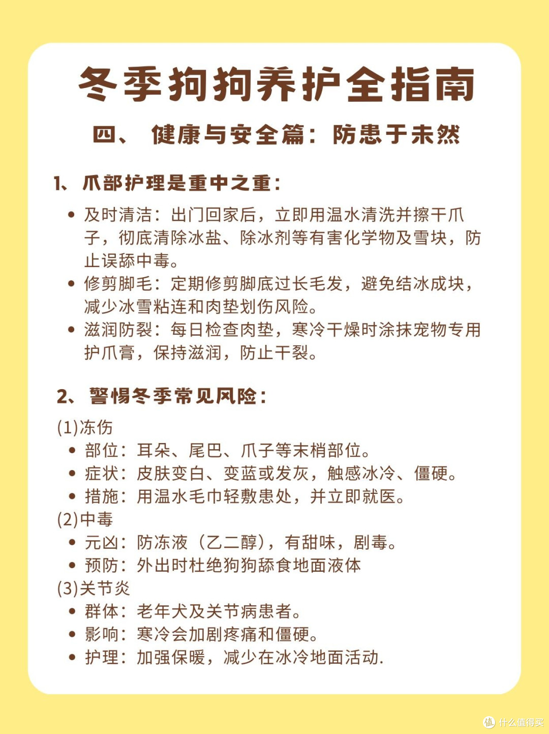 新年宠物饮食指南:守护毛孩子健康
