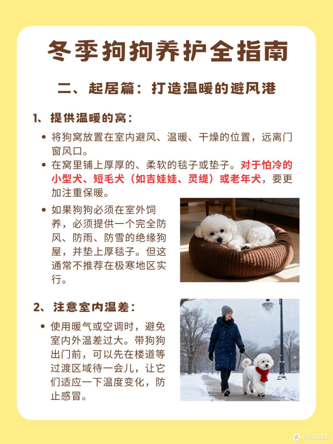 新年宠物饮食指南:守护毛孩子健康