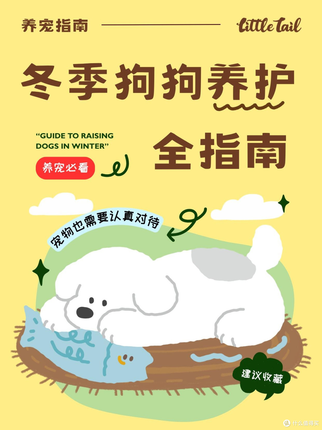 新年宠物饮食指南:守护毛孩子健康
