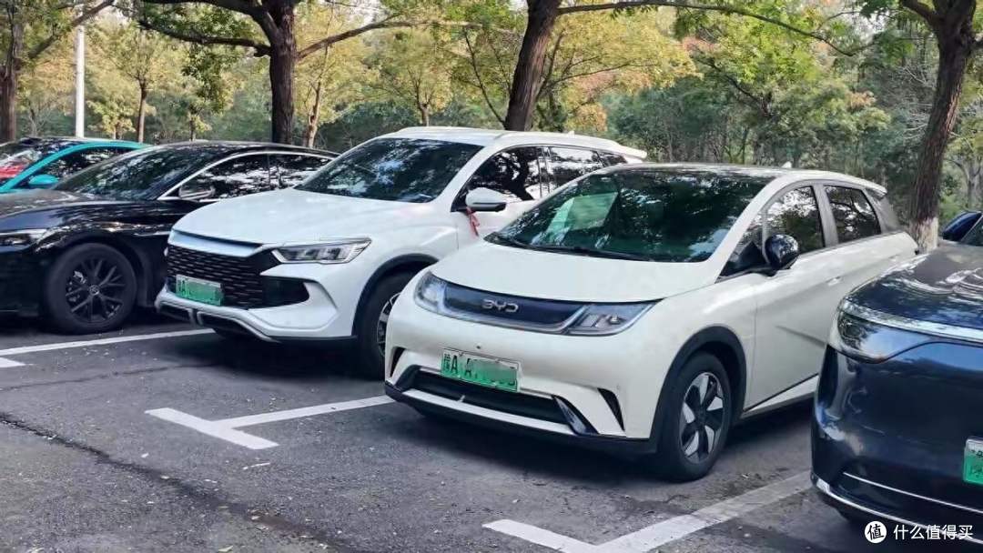 大学老师为啥扎堆开比亚迪?答案没你想的那么简单