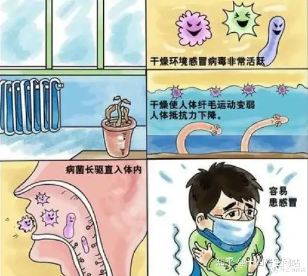 告别冬日干渴！一篇看懂加湿器选购，这两款闭眼入不踩雷