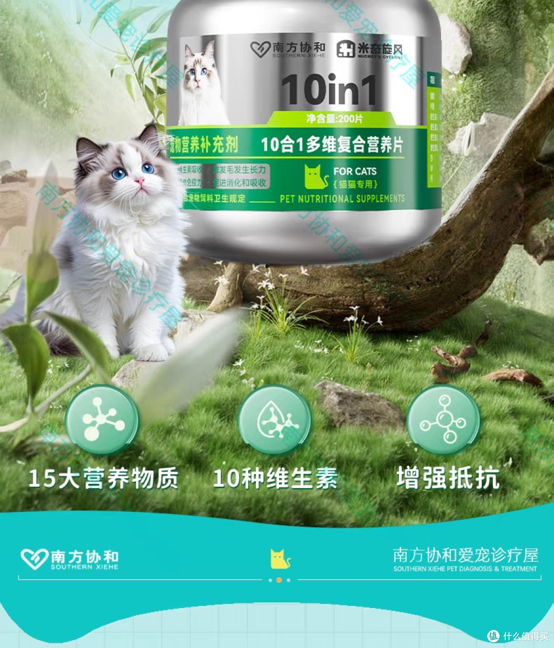 科学补充营养，守护猫咪健康