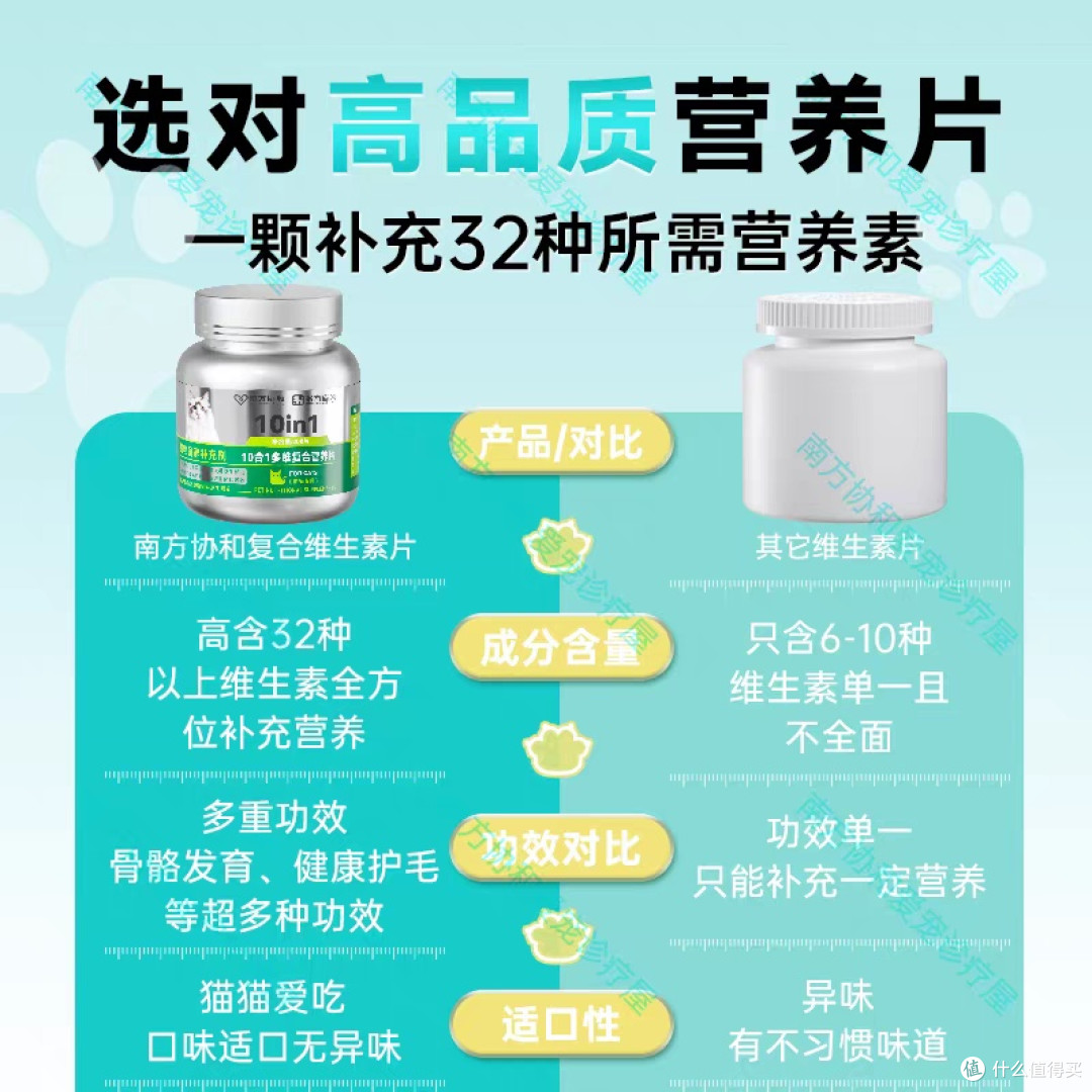 科学补充营养，守护猫咪健康