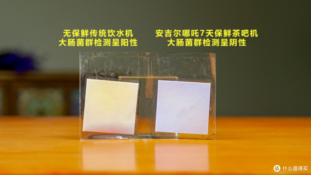 安吉尔哪吒 7 天保鲜茶吧机测评:你喝的桶装水可能已是细菌水!