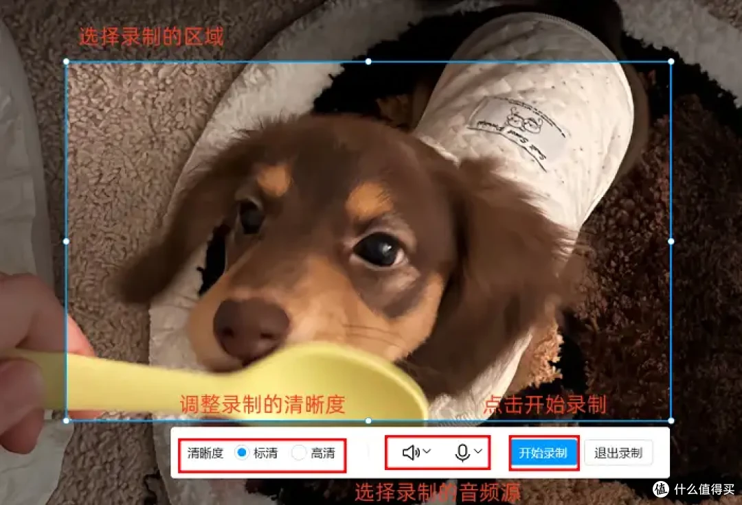 快来收藏!8款电脑录制软件任你选!录屏再也不卡顿