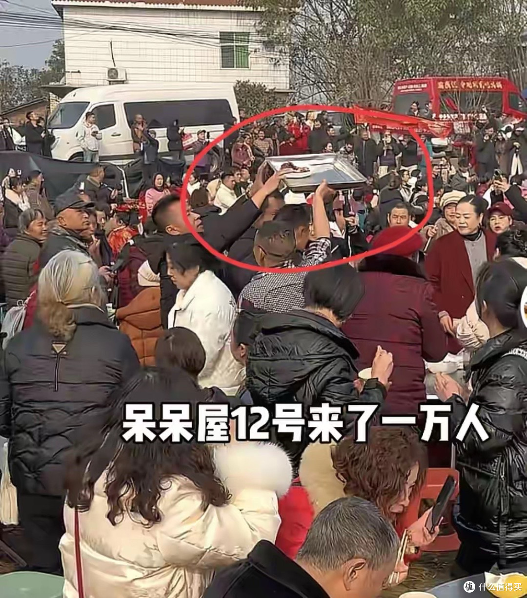 清醒到可怕!23岁呆呆爆火后火速暂退网,防粉丝经济损失