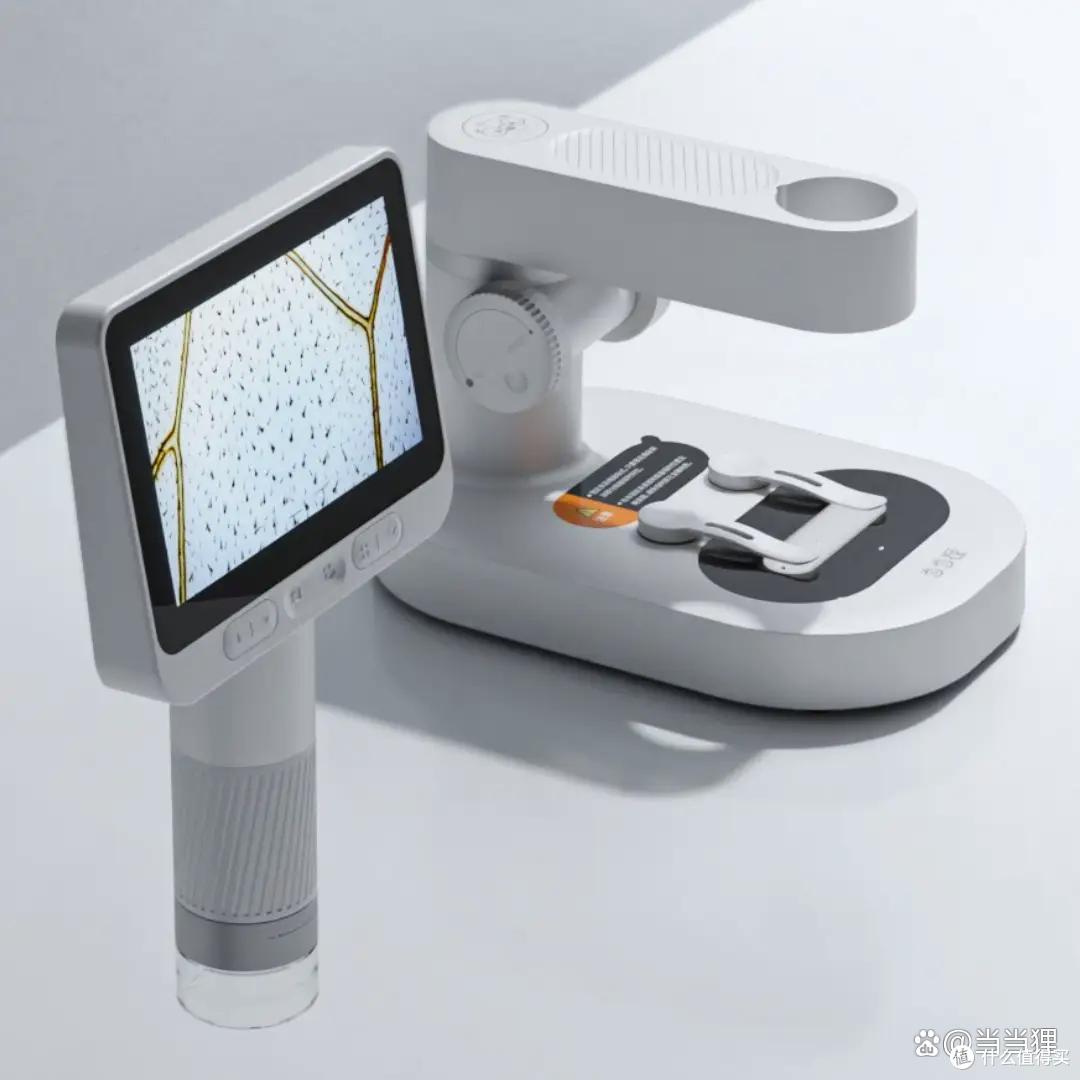 给小学六年级孩子买什么样的显微镜合适?