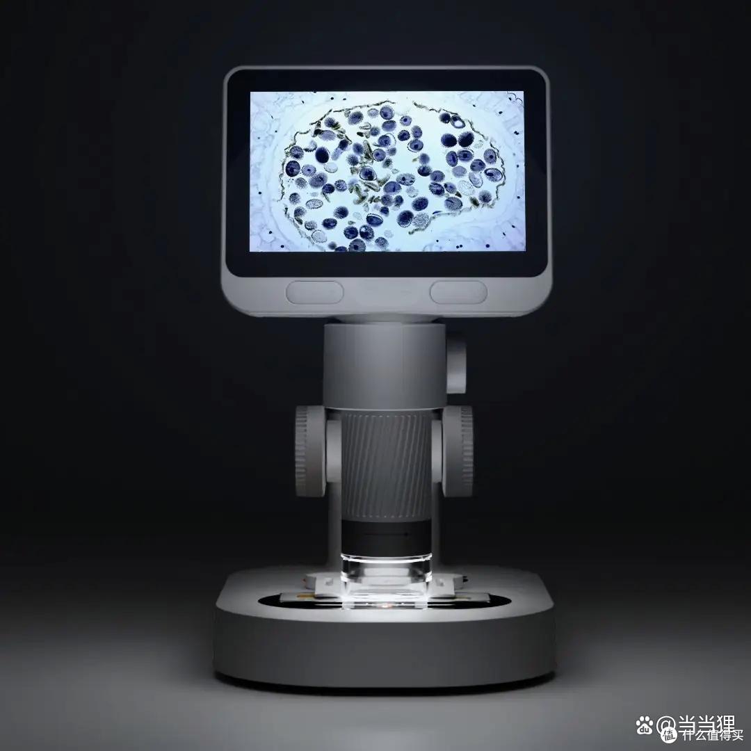 给小学六年级孩子买什么样的显微镜合适?