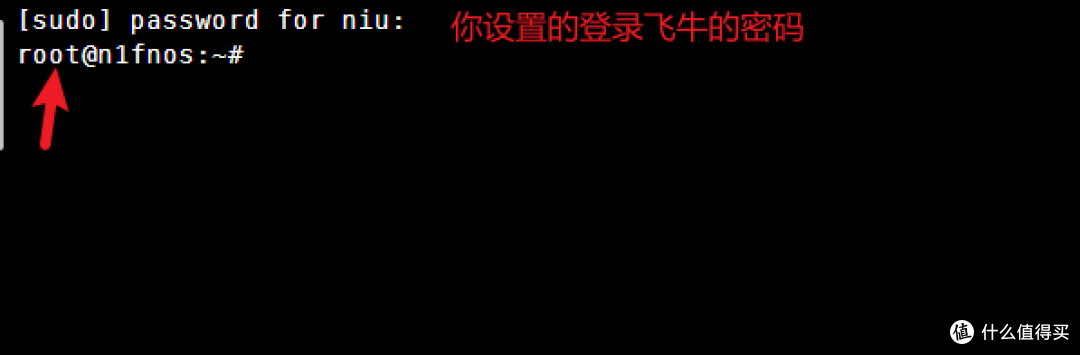 新路径!斐讯N1刷飞牛时没有可接的键盘怎么办?