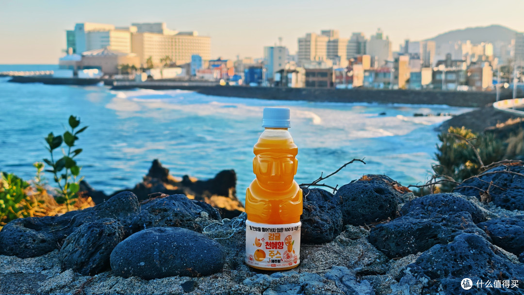 酸奶丨蜂蜜黄油丨可可，济州岛特产柑橘片，哪个风味最好吃？