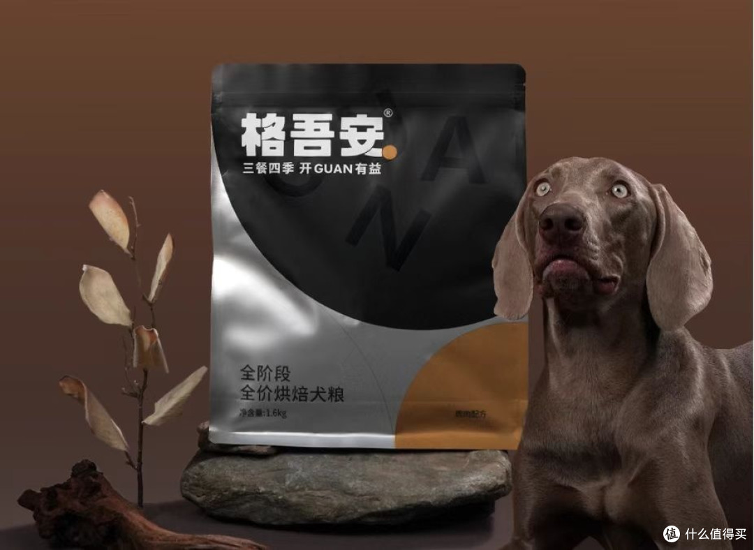 狗粮哪个好能健康长肉?口碑好的10个平价狗粮分享,健康长肉
