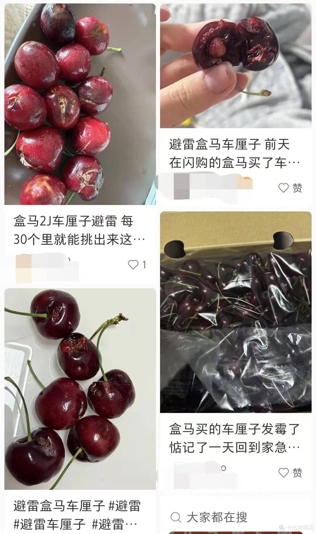 瓜子无日期、鸡蛋有兽药,严筱磊能管好盒马品控吗?