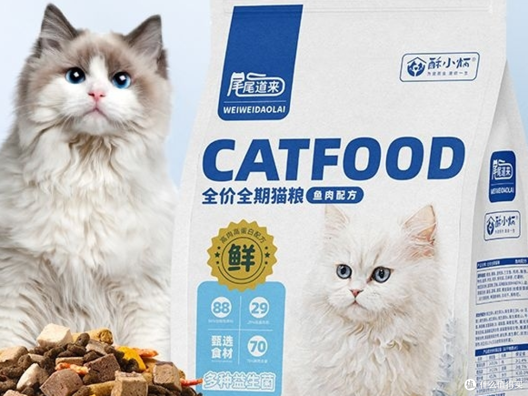 健康养猫咪，粮食选择要注意
