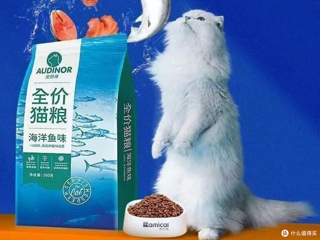 健康养猫咪，粮食选择要注意