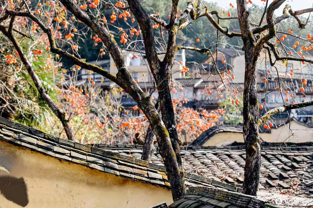 美签难办?这个藏在福建的古村,比国外仙境还出片