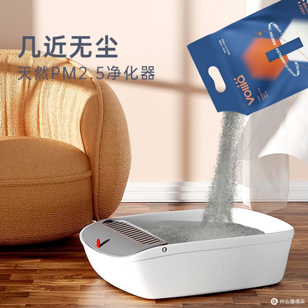 猫砂怎么选?六款热门实测,低粉尘高除臭全在这