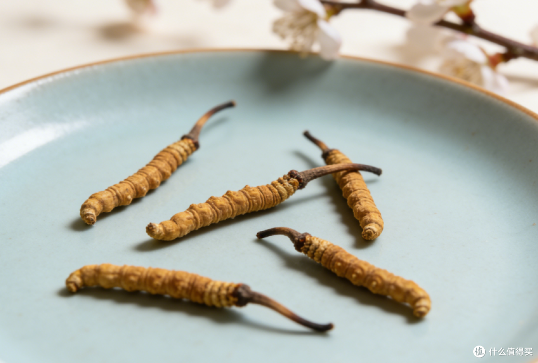 冬虫夏草什么牌子正宗？十大畅销品牌权威解读，原料甄选一文看透