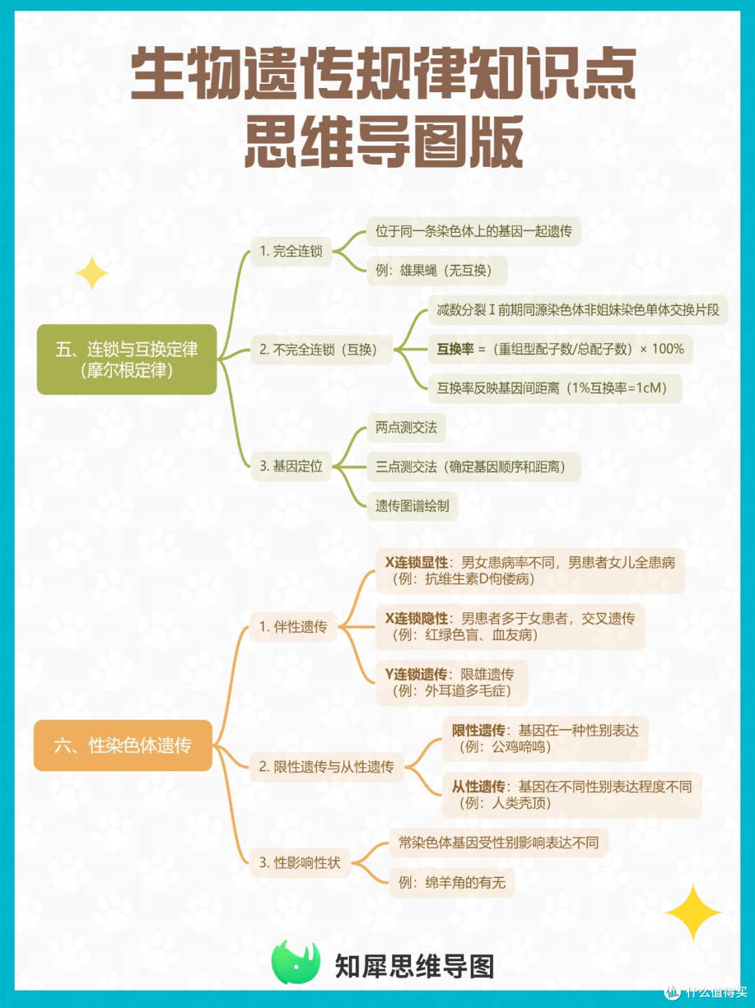 一张思维导图帮你梳理生物遗传规律