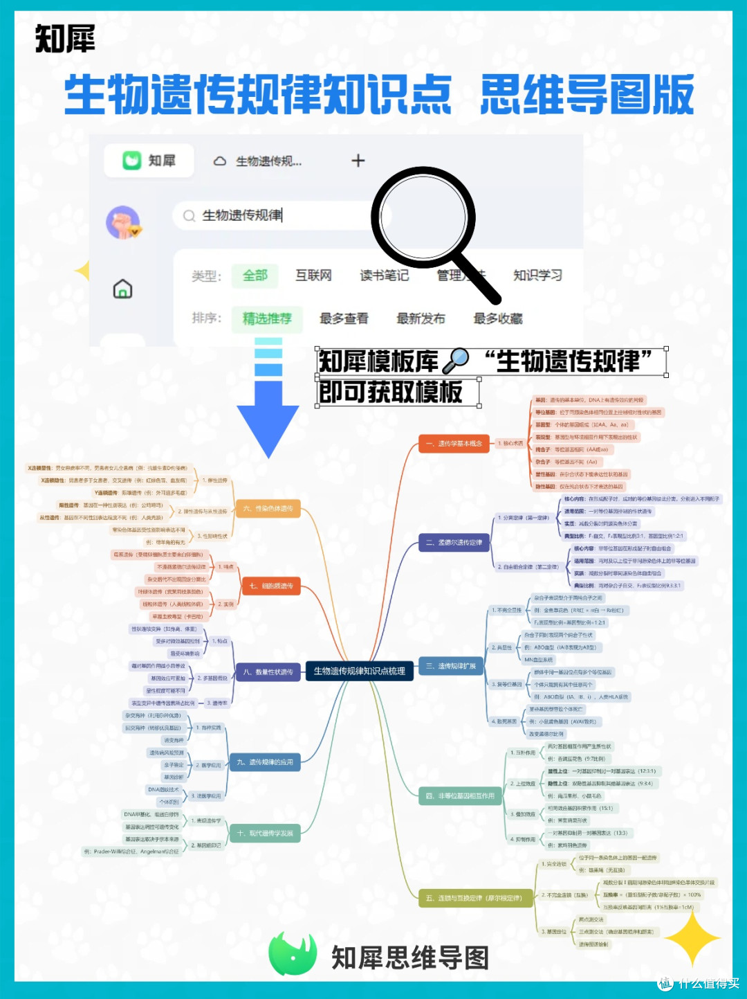 一张思维导图帮你梳理生物遗传规律
