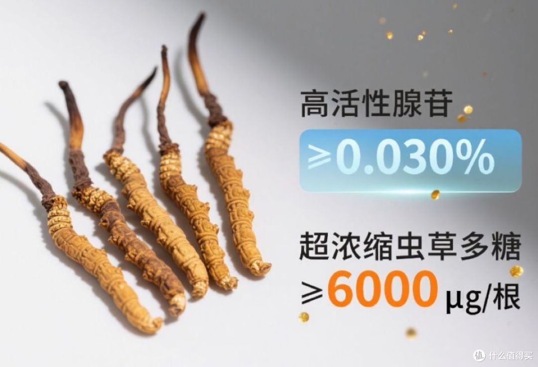 冬虫夏草哪家牌子好一点?十大高端品牌实力对垒,用户复购率认证