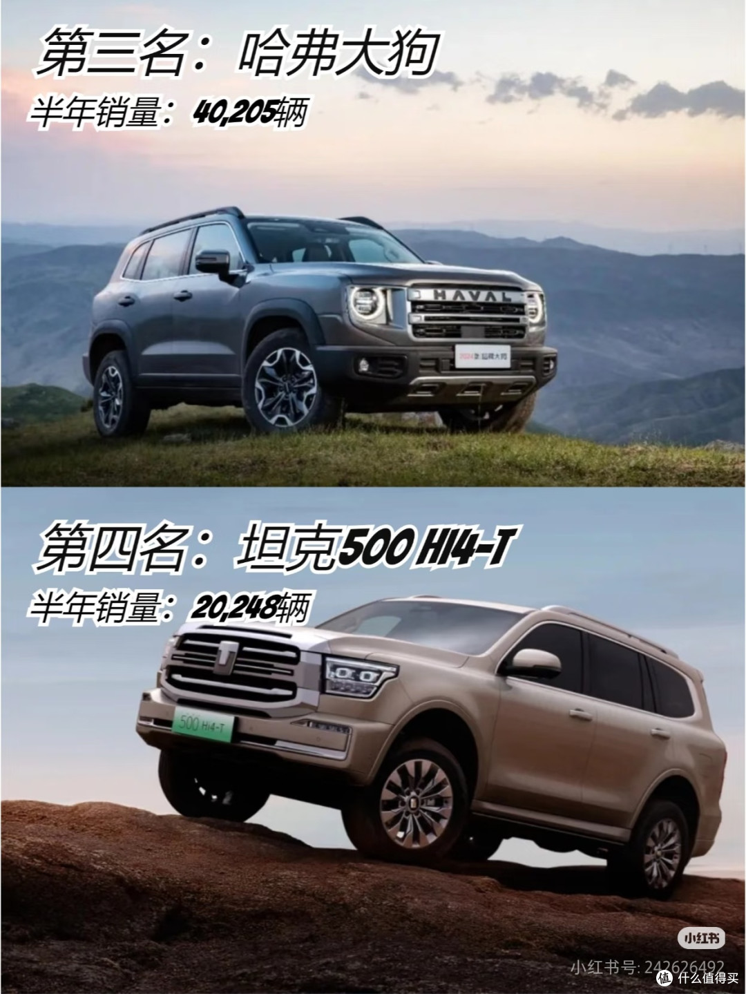 年度车主 TOP 榜揭秘:务实派狂欢,大空间便宜车才是真赢家