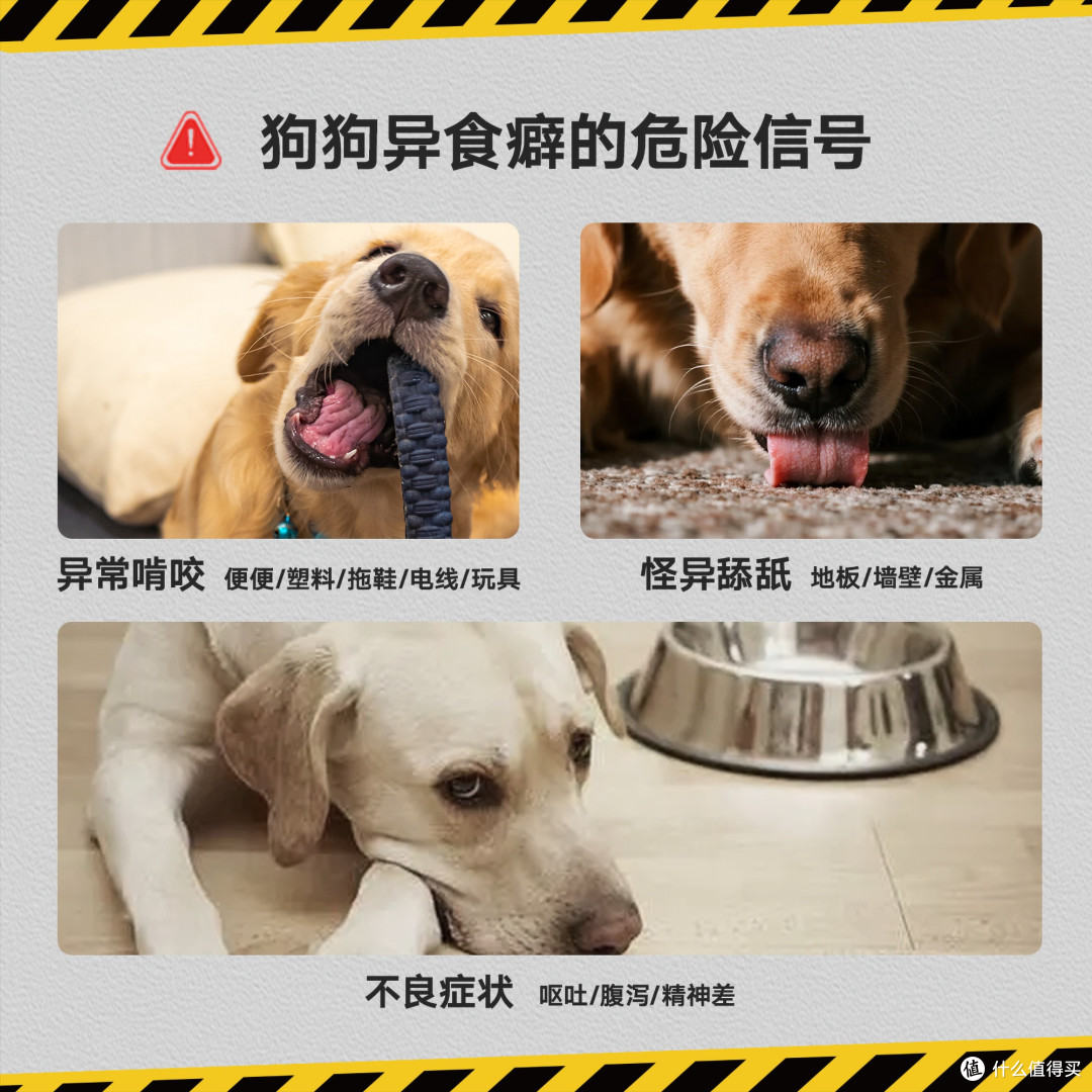 新年宠物营养餐大盘点 附狗狗微量元素补充攻略