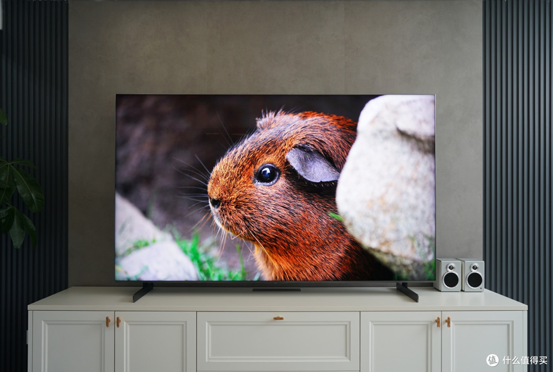 TCL Q10M电视画质如何?半个月深度体验,谈谈SQD-Mini LED优缺点