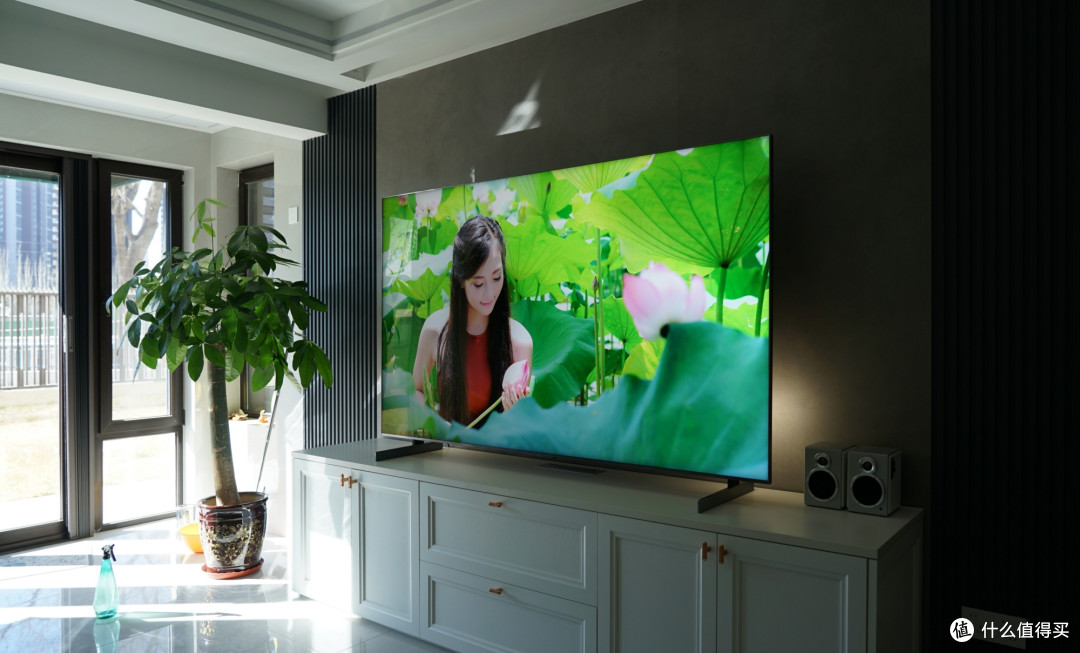 TCL Q10M电视画质如何?半个月深度体验,谈谈SQD-Mini LED优缺点