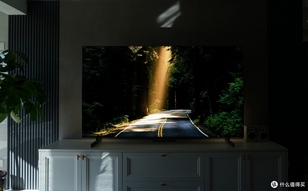 TCL Q10M电视画质如何?半个月深度体验,谈谈SQD-Mini LED优缺点