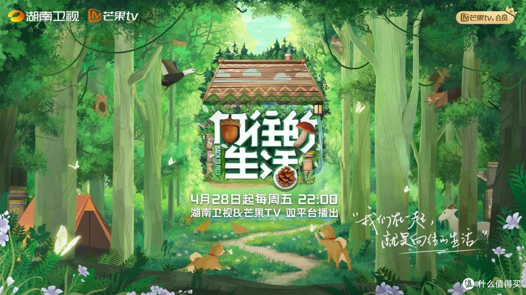 综艺配饭香:那些年双重享受的欢乐时光