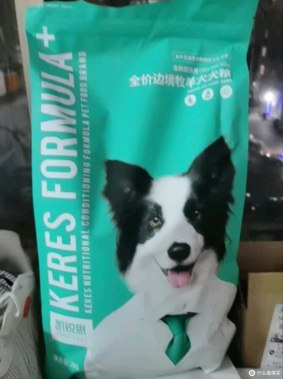 春节留守不焦虑,边牧喂养这样做|凯锐思专用粮守护爱犬安心过年