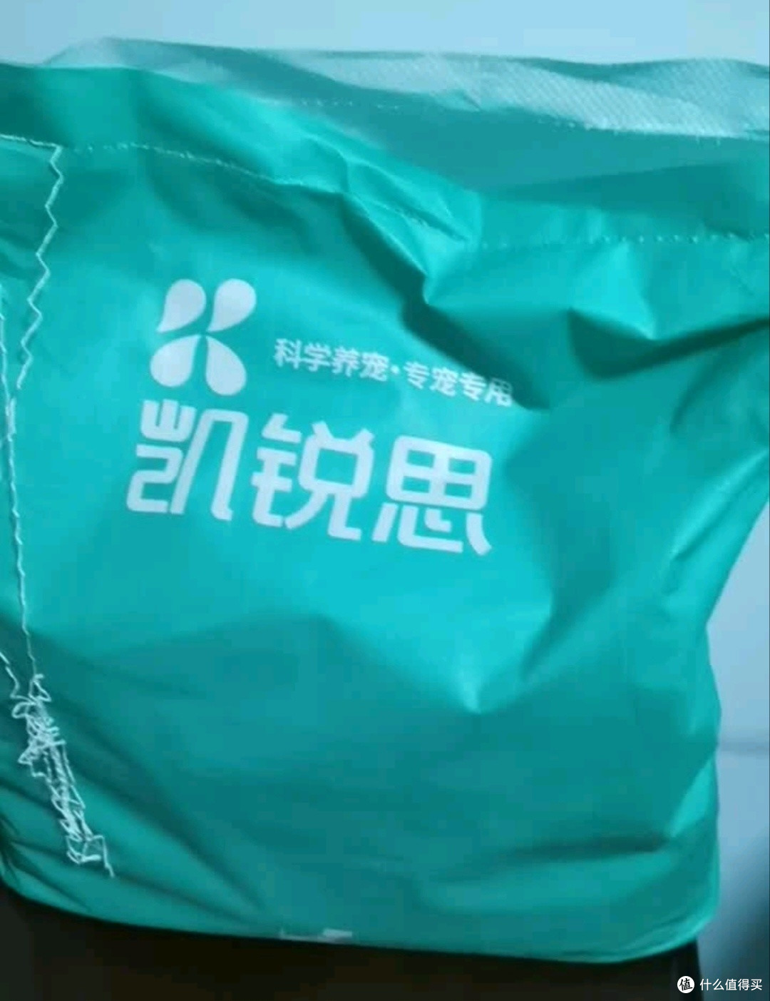 春节留守不焦虑,边牧喂养这样做|凯锐思专用粮守护爱犬安心过年