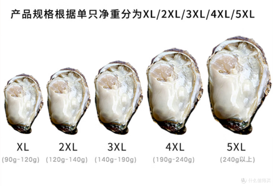 别再乱囤!2026 年夜饭硬菜实测,这 5 款才值得入