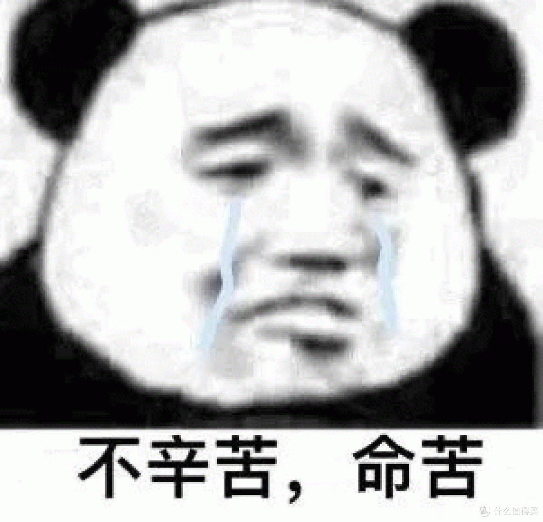 【科普】装机寒冬!聊聊内存价格和内存超频