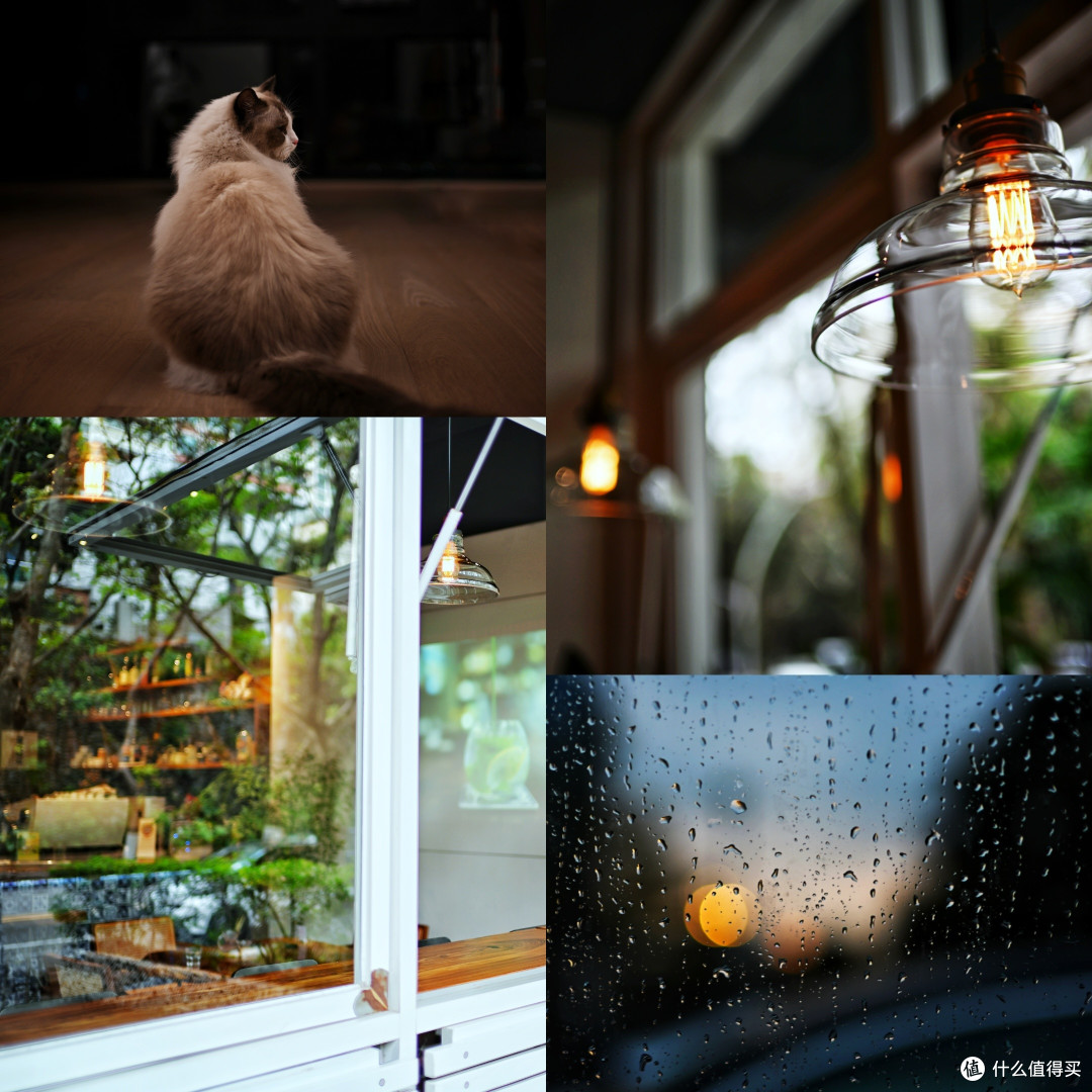 尼康z35 f1.4@尼康zf