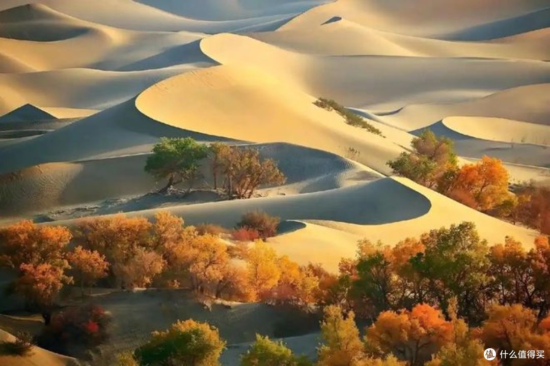 坐着火车游新疆：串联天山南北的壮美之旅！